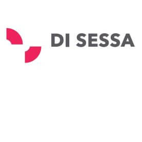 DS Energy Esco srl